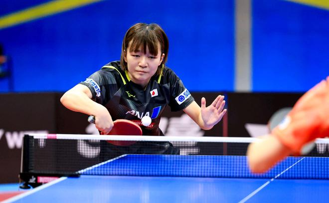 都能在孔帕 都能在孔帕